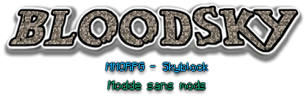 Bannière du serveur Minecraft Bloodsky