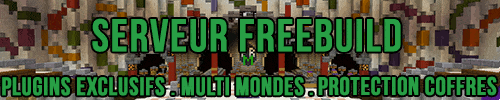 Bannière du serveur Minecraft Freebuild FRM