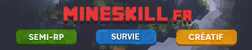 Bannière du serveur Minecraft MINESKILL.FR