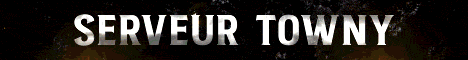 Bannière du serveur Minecraft NewTerra