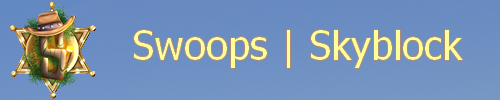 Bannière du serveur Minecraft Swoops